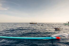 Odika Lovina House and Villa