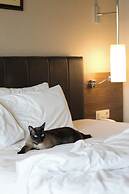 Kolin Hotel Spa & Convention Center