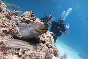 Jasmine Palace Resort & Spa