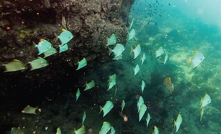 Wendy The Pool Resort