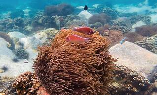 Wendy The Pool Resort