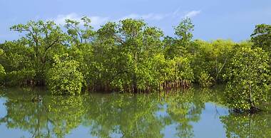 Le Manglier Guest House