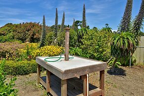 Surf Motel and Gardens