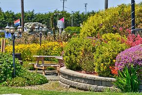 Surf Motel and Gardens