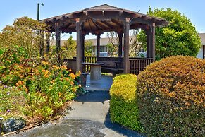 Surf Motel and Gardens