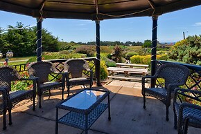 Surf Motel and Gardens