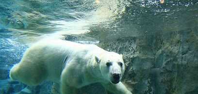 Asahidake Onsen Yumoto Yukomansou