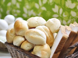 Hotel Premium Green Plus