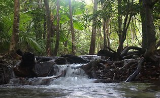 Cape Trib Farmstay