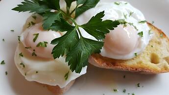 Ballina Palms Boutique Motel