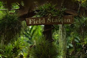 Ian Anderson's Caves Branch Adventure Co