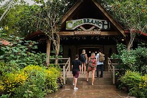 Ian Anderson's Caves Branch Adventure Co