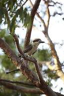 Winbi River Resort Holiday Rentals