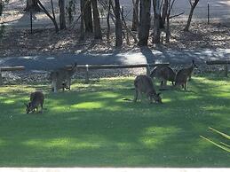 Winbi River Resort Holiday Rentals