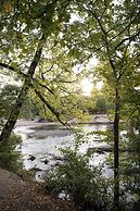 Reflections Tumut River