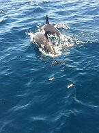 Ratu Kini Backpackers & Dive Resort