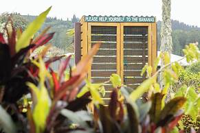 Daydreamer Apartments