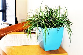 Spring Hill Mews Apartments