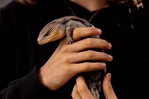 BIG4 Hobart Airport Tourist Park