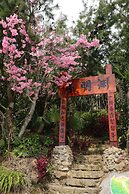 Alishan B&B Yunmingi Aliscenery