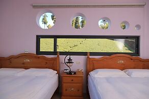 Alishan B&B Yunmingi Aliscenery