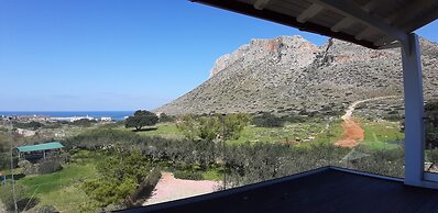 Artemis Village Apartments & Studios