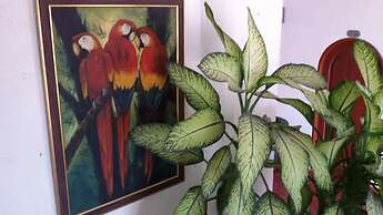 Hotel Palma Blanca del Mar