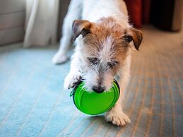 Mercure Firenze Centro