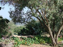 Agriturismo Su Tiresi