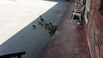 Franklin Motel & Trailer Park