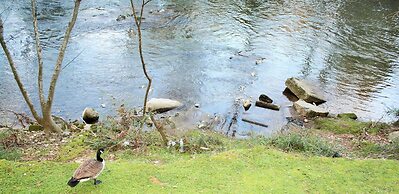 Twin Mountain Inn & Suites