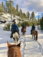 Dream Haven Guest Ranch