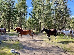 Dream Haven Guest Ranch