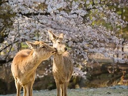 Sarusawaike Yoshidaya