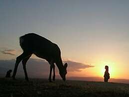 Sarusawaike Yoshidaya