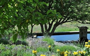 Une Campagne en Provence