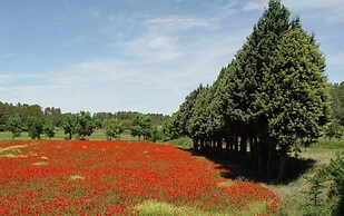 Une Campagne en Provence