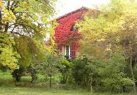 Une Campagne en Provence
