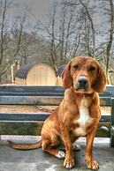 Oniropetra Boutique Hotel