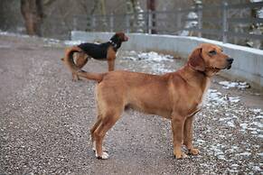 Oniropetra Boutique Hotel