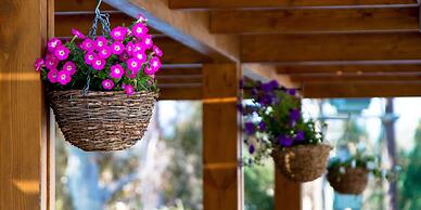 Sun Palace Hotel - All inclusive