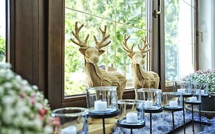 Die Seefelderin - Boutiquehotel St. Georg