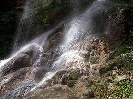 Hacienda El Jibarito