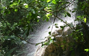 Hacienda El Jibarito