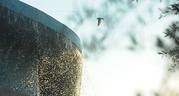 Yalıçapkını Boutique Hotel - Boutique Class