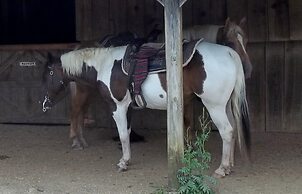 Country Hideaway at Mountain Lakes
