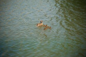 Country Hideaway at Mountain Lakes