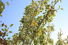 Green House Apart Hotel