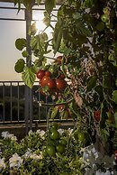 Villa Carolina Country House