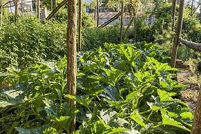 Villa Carolina Country House